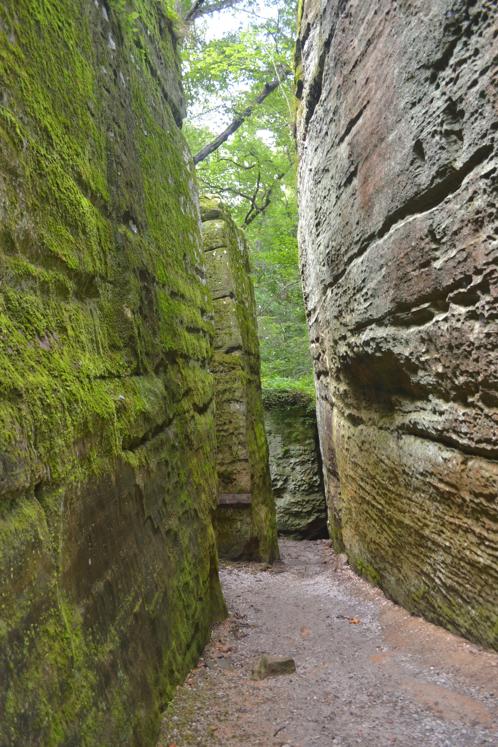 A narrow sandstone passage on the Giant City Nature Trail in Illinois.