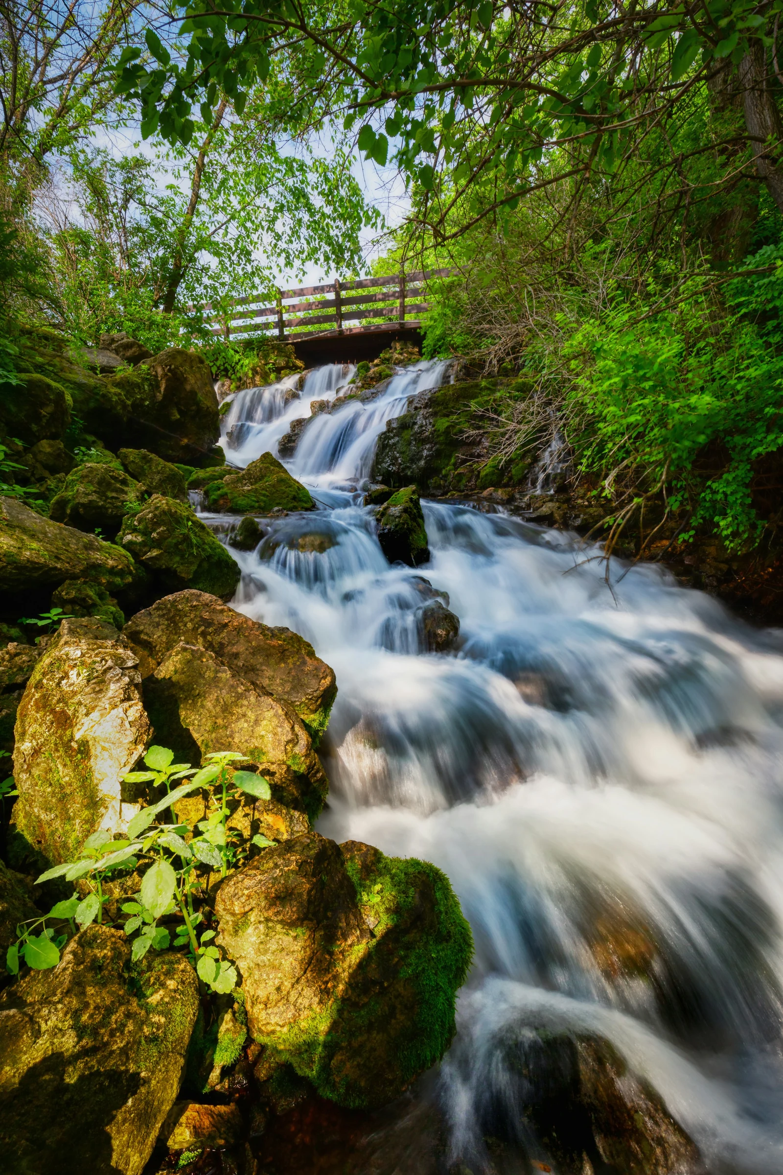 Stream and waterfall below a wooded footbridge.