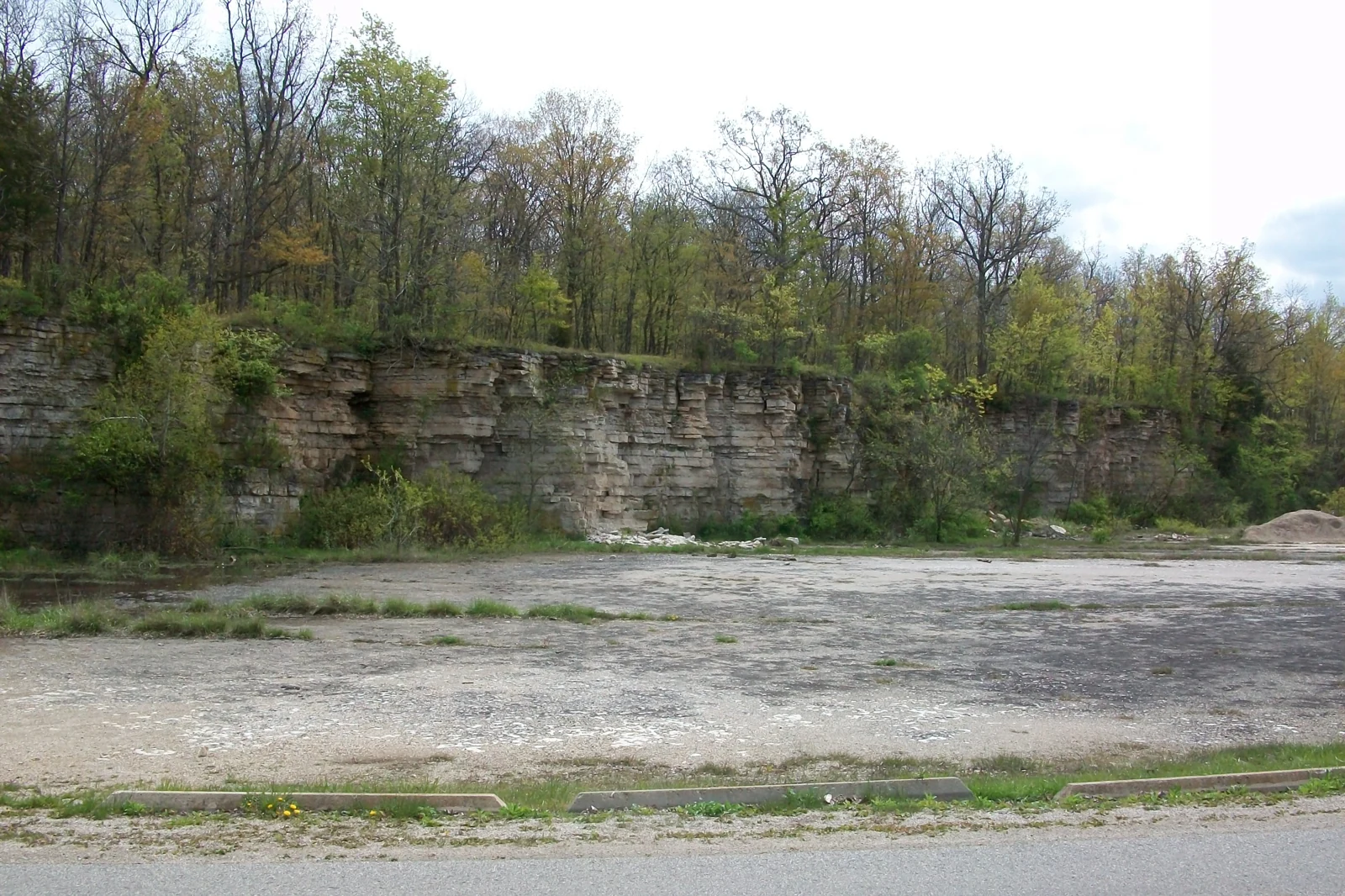 Exposed rock ledge below woodland in High Cliff State Park, Wisconsin.