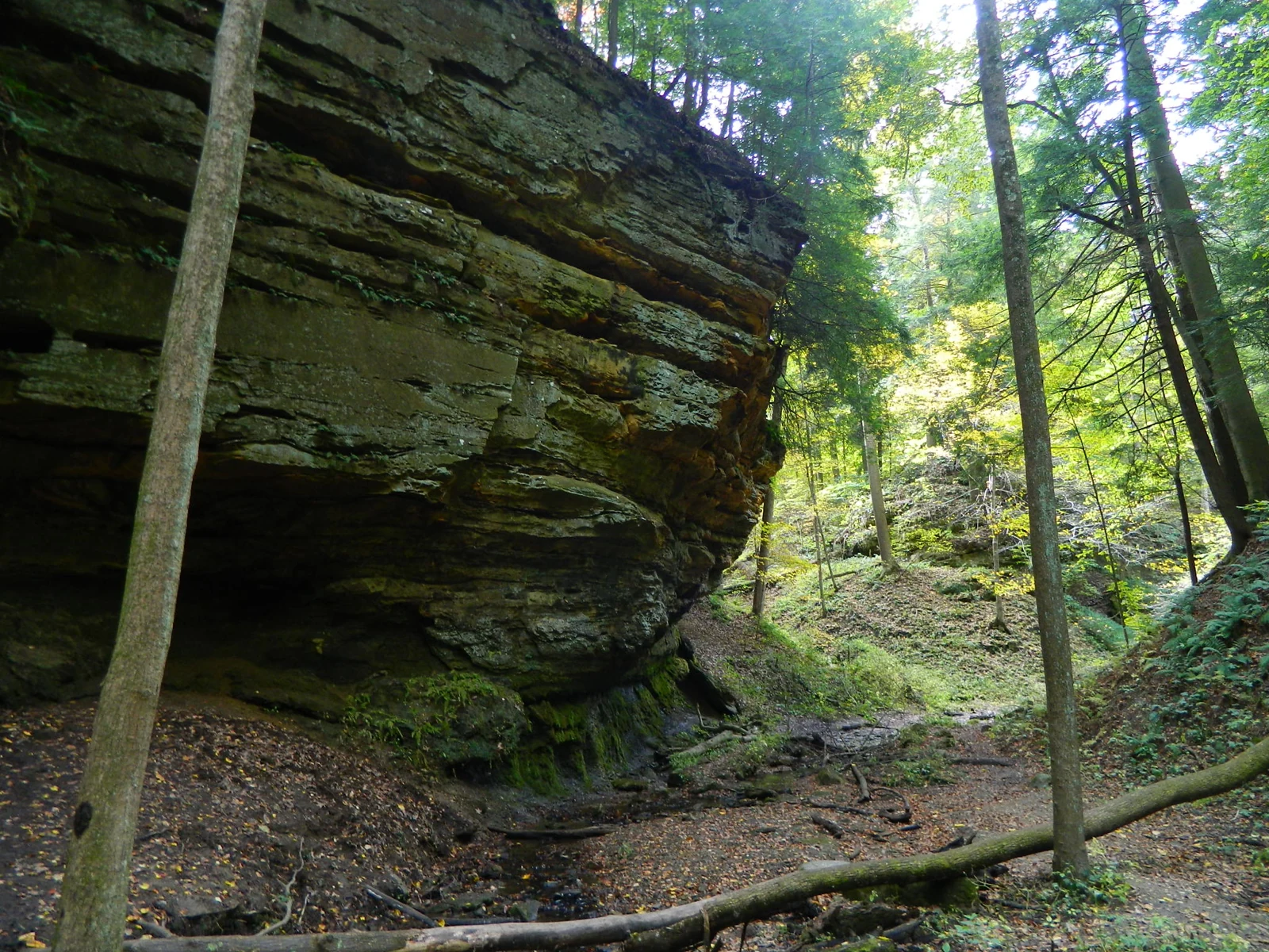 Layered sandstone formations beside a wooded trail in Shades State Park.