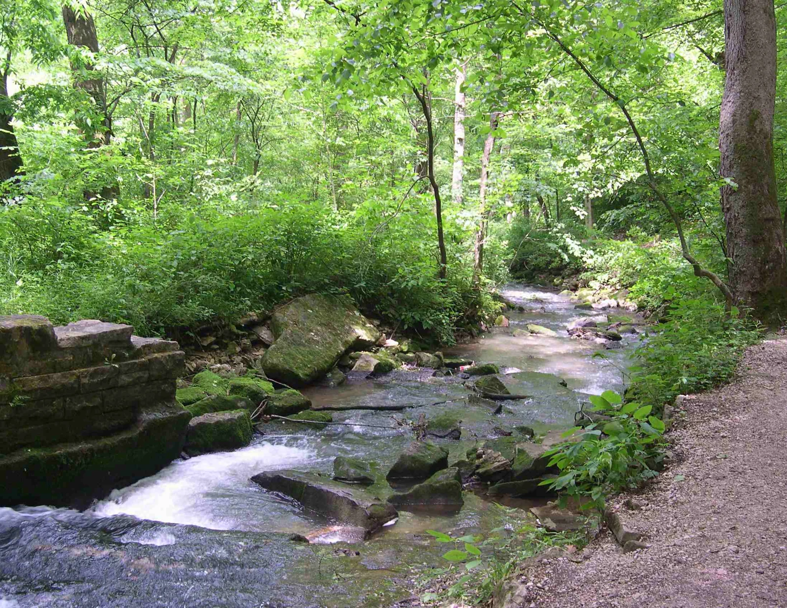 Wooded stream in Spring Mill State Park, Indiana.