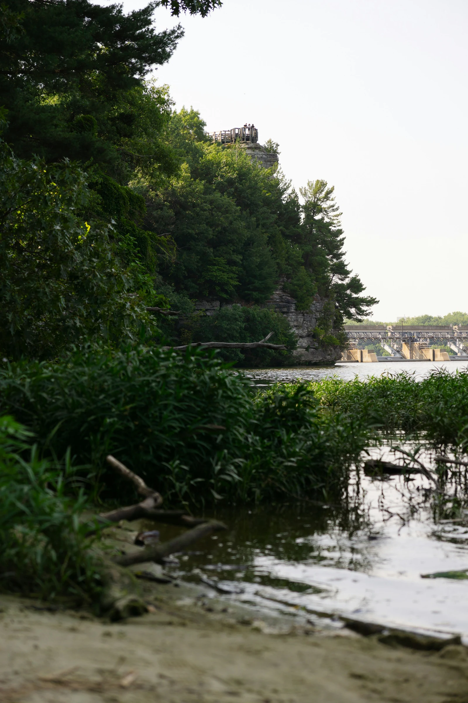 Wooded cliffs above the Illinois River.